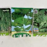 暖かくなって来ましたね