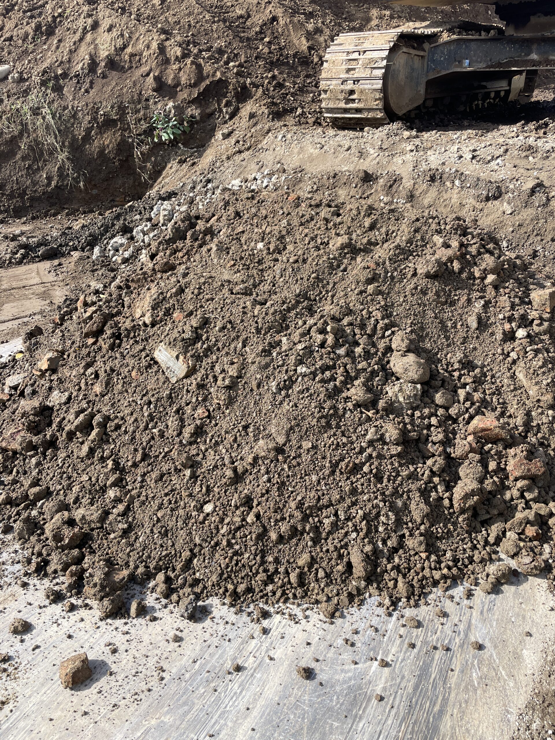 ギャラリー画像5